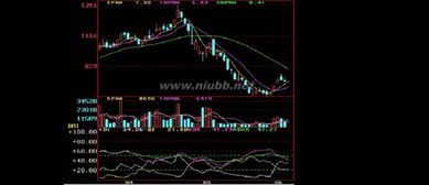 股票怎么入門基礎(chǔ)知識和規(guī)則