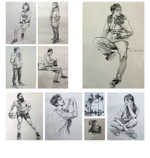 速寫基礎(chǔ)知識教案