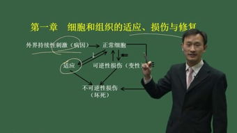 醫(yī)學(xué)基礎(chǔ)知識(shí)種子