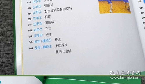 兵兵球基礎(chǔ)知識教案