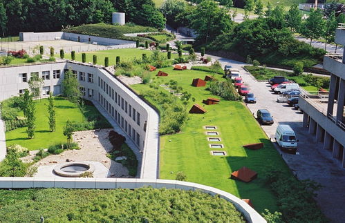 綠化基礎(chǔ)知識(shí)