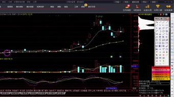 關(guān)于炒股的基礎(chǔ)知識(shí)