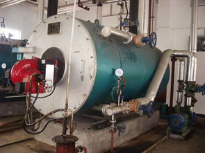 燃氣導熱油鍋爐的基礎知識