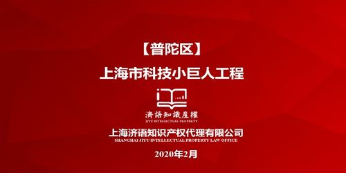 知識(shí)產(chǎn)權(quán)的基礎(chǔ)主體