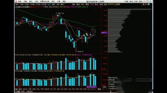 股票字母入門基礎(chǔ)知識