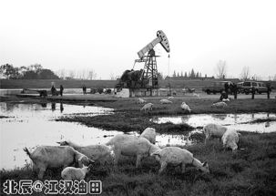 江漢油田采油地質(zhì)基礎(chǔ)知識(shí)