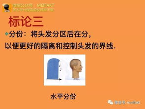 剪發(fā)基礎(chǔ)知識(shí)和基礎(chǔ)知識(shí)